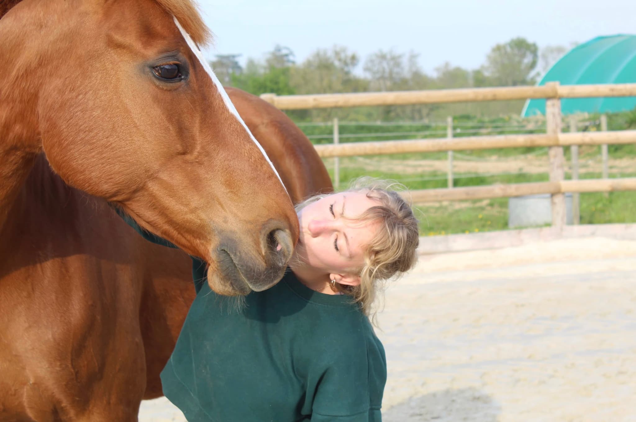 Audrey Lecomte, ostéopathe équin dans les Yvelines, front contre la tête d'un cheval alezan